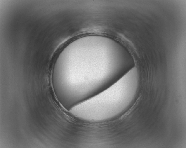 X0000062851166200601130913