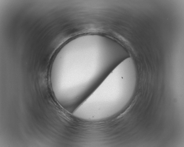 X0000062851170200601130913