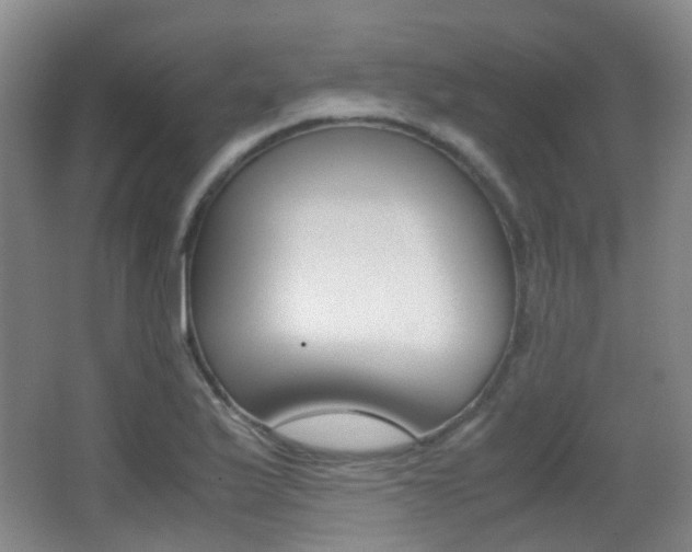 X0000062851175200601130913