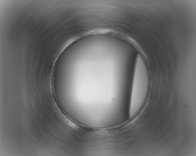 X0000062851186200601130913