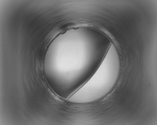 X0000062851193200601130912