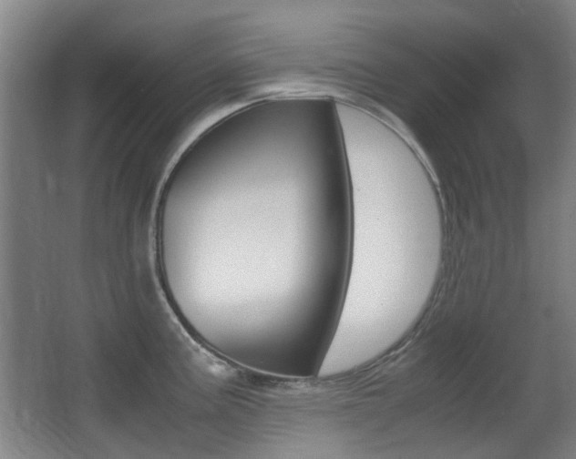 X0000062851195200601130912