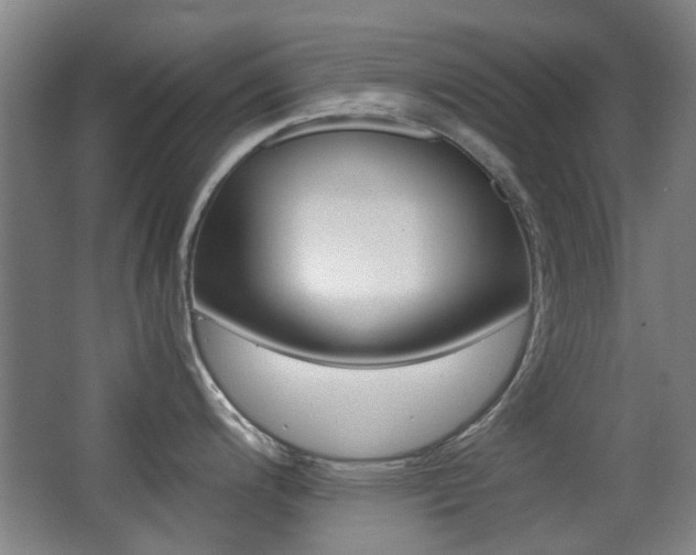 X0000062851200200601130912