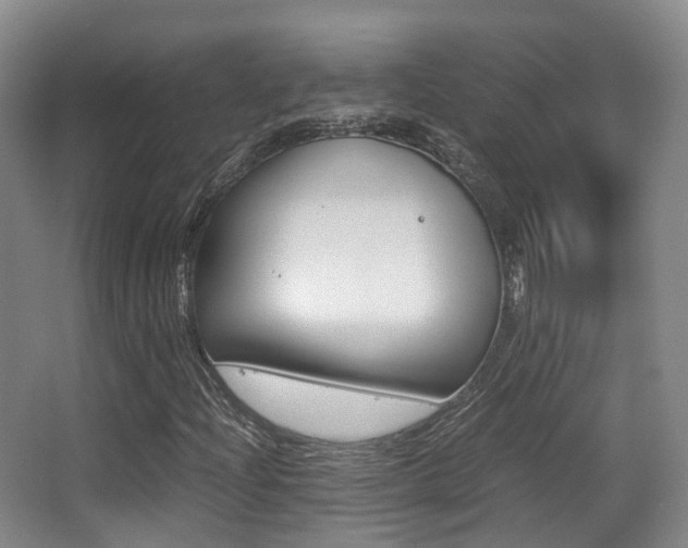 X0000062851204200601130912
