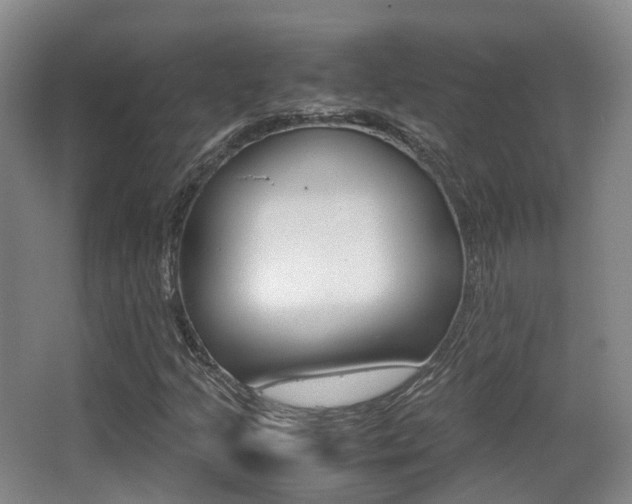 X0000062851205200601130912
