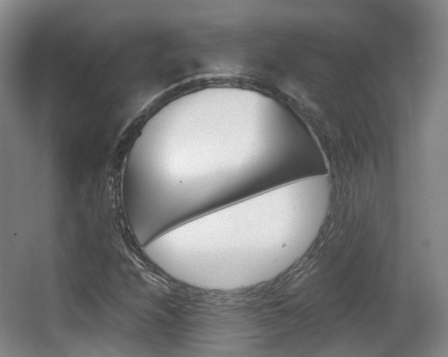 X0000062851208200601130912