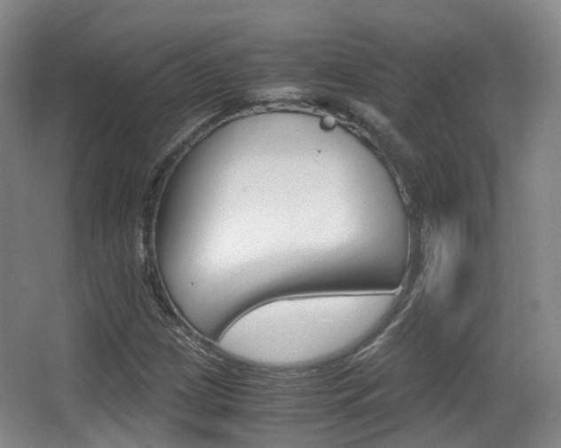 X0000062851209200601130912