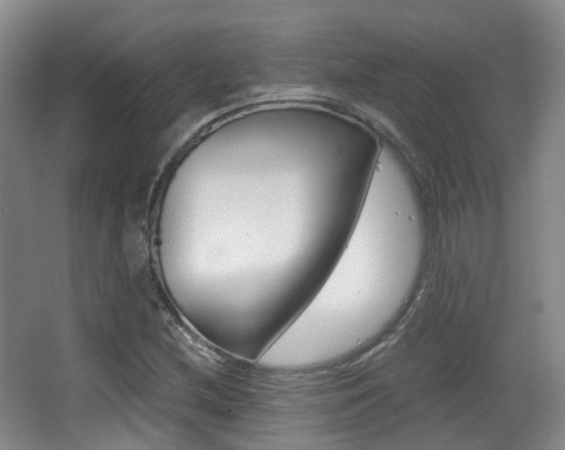 X0000062851212200601130912