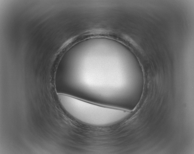 X0000062851213200601130912