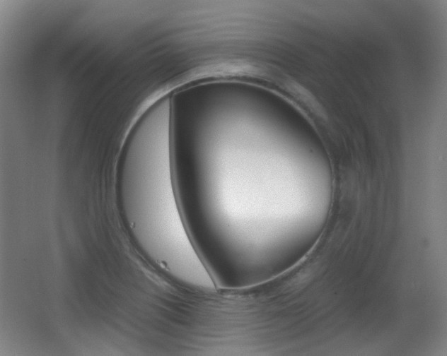 X0000062851226200601130912
