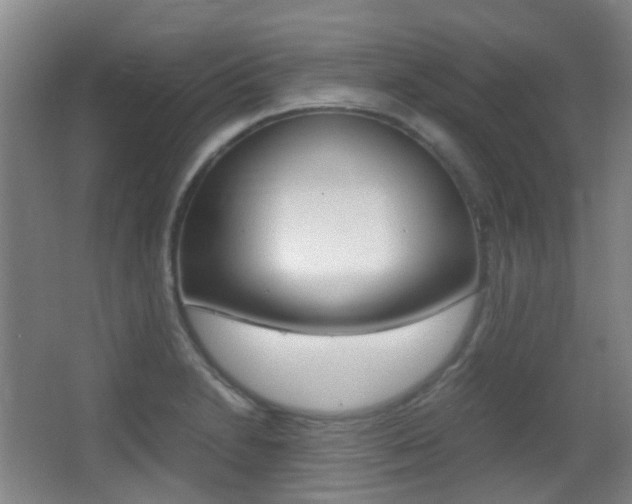 X0000062851230200601130912