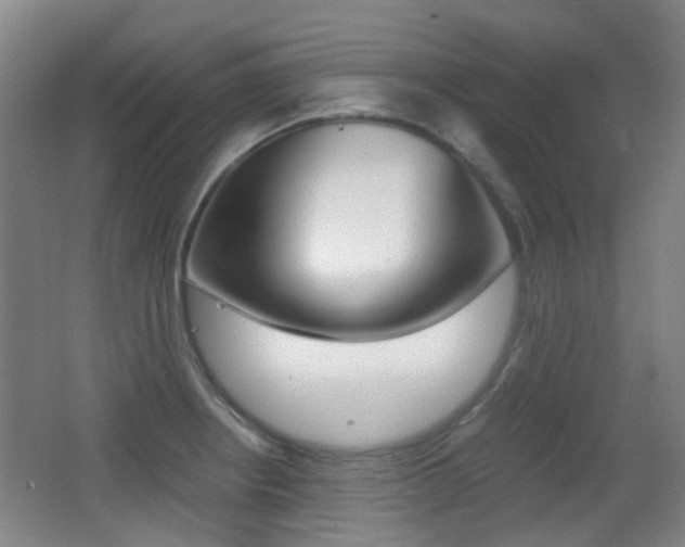 X0000062851234200601130912