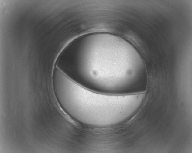 X0000062851236200601130912