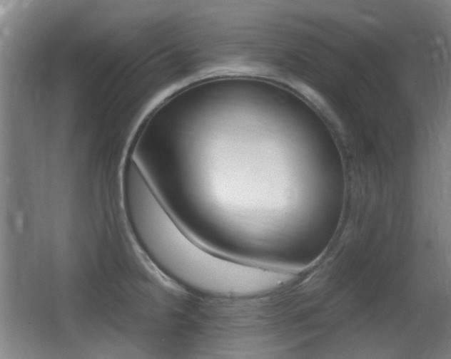X0000062851238200601130912