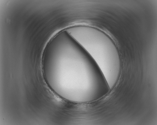 X0000062851240200601130912