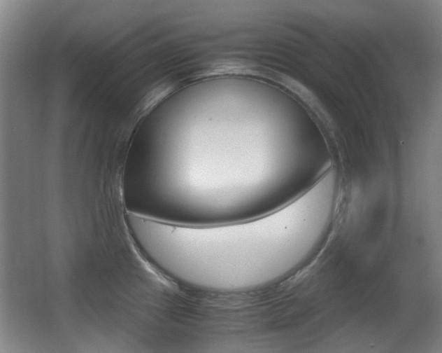 X0000062851241200601130912