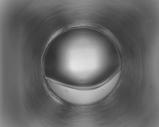 X0000062851242200601130912