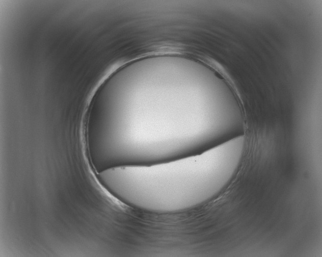 X0000062851243200601130912