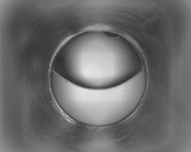 X0000062851248200601130912