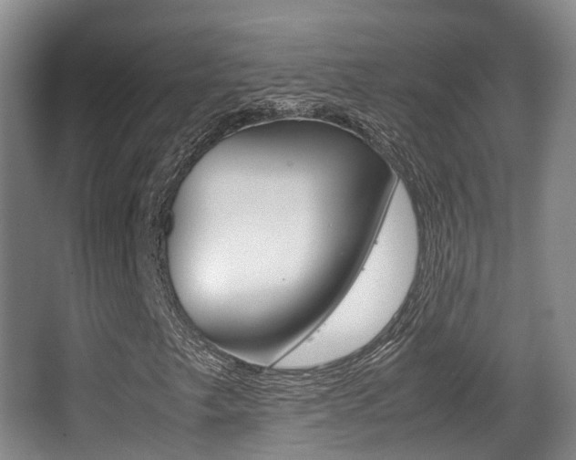 X0000062851249200601130911