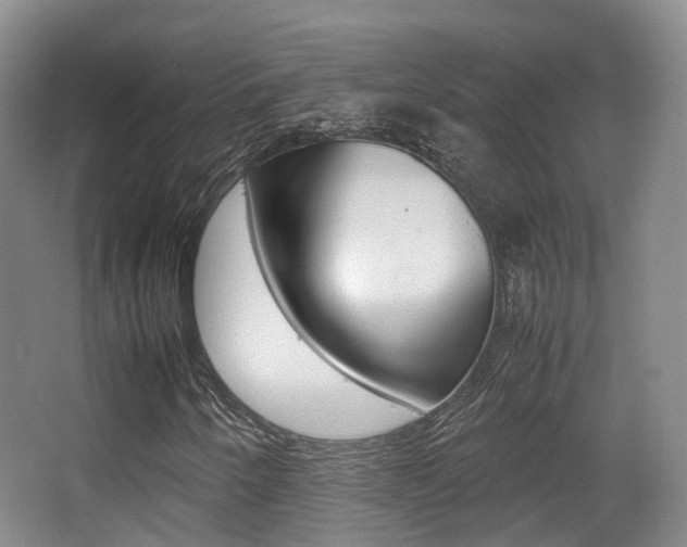 X0000062851250200601130911