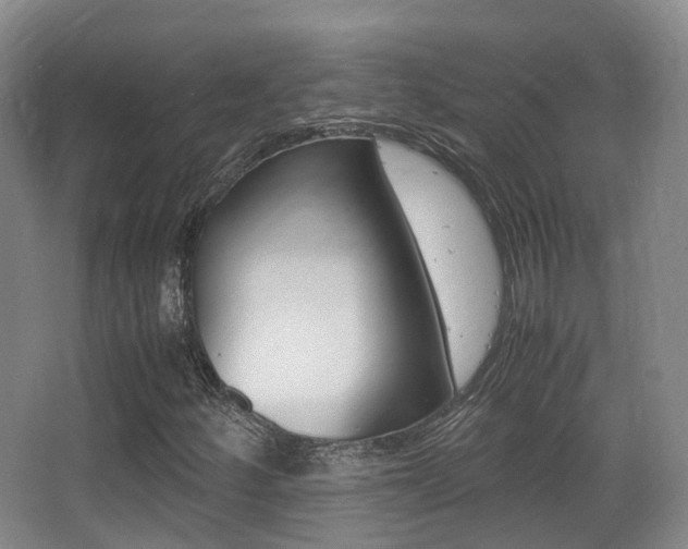 X0000062851252200601130911
