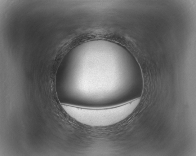X0000062851253200601130911