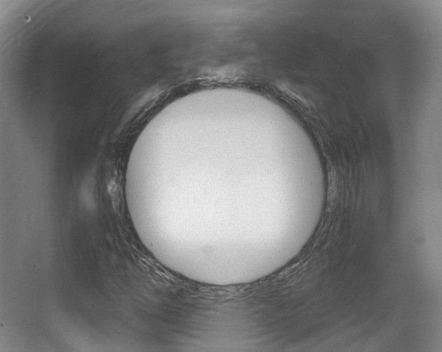 X0000062851254200601130911