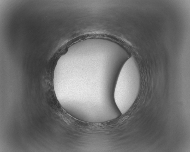 X0000062851255200601130911