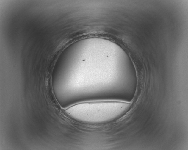 X0000062851257200601130911
