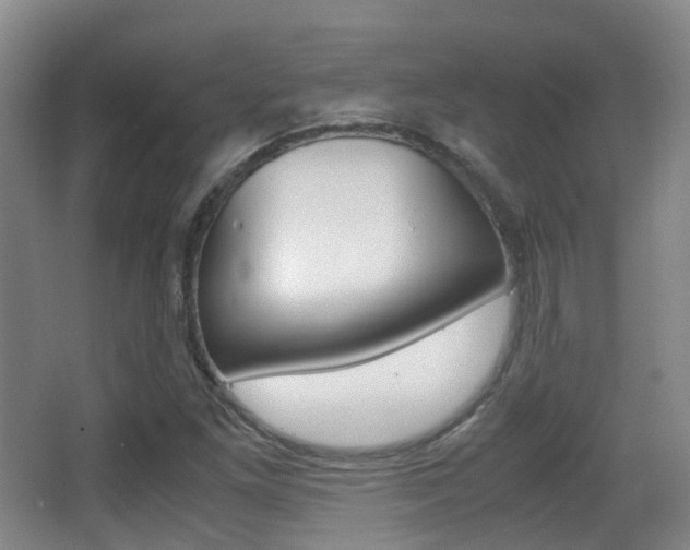 X0000062851261200601130911