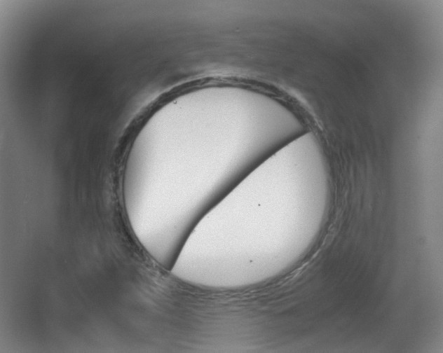 X0000062851263200601130911