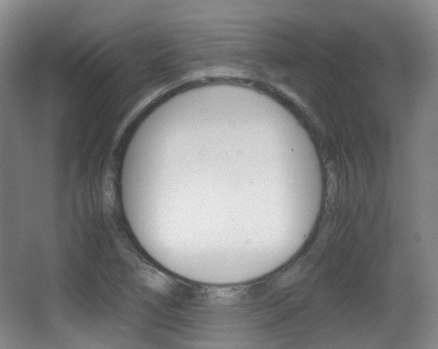 X0000062851266200601130911