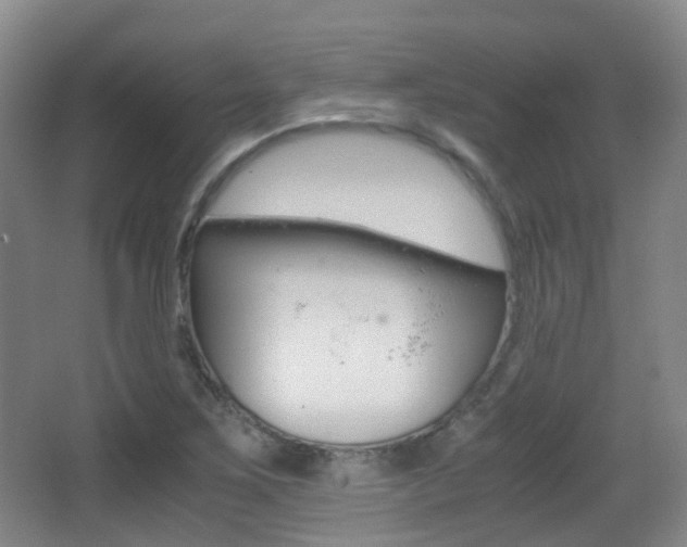 X0000062851267200601130911