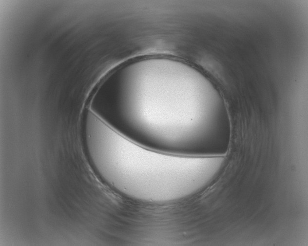 X0000062851268200601130911