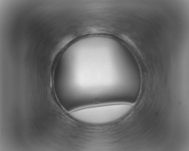 X0000062851269200601130911