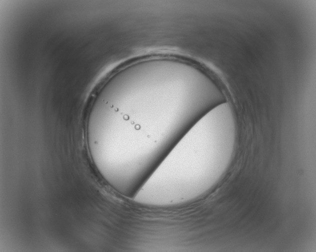 X0000062851271200601130911