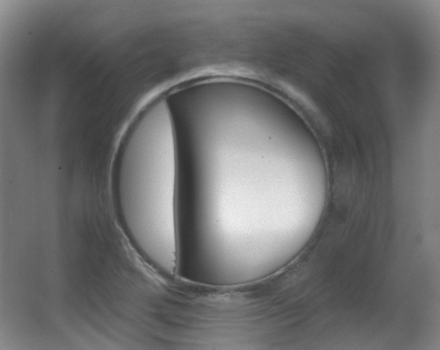 X0000062851272200601130911