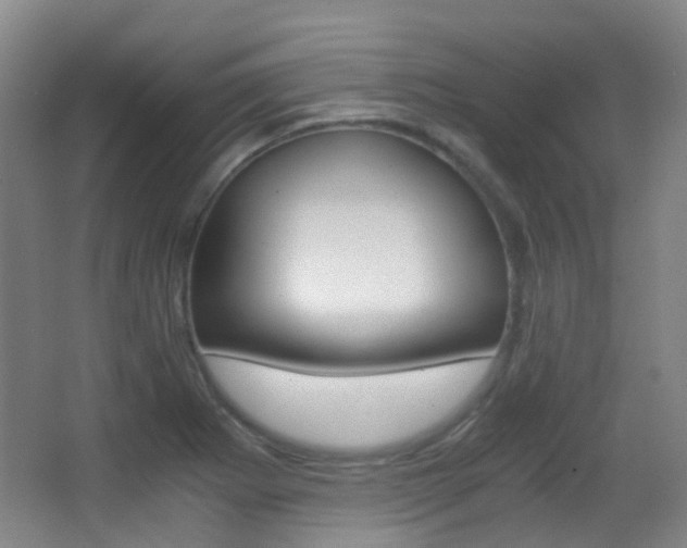 X0000062851273200601130911