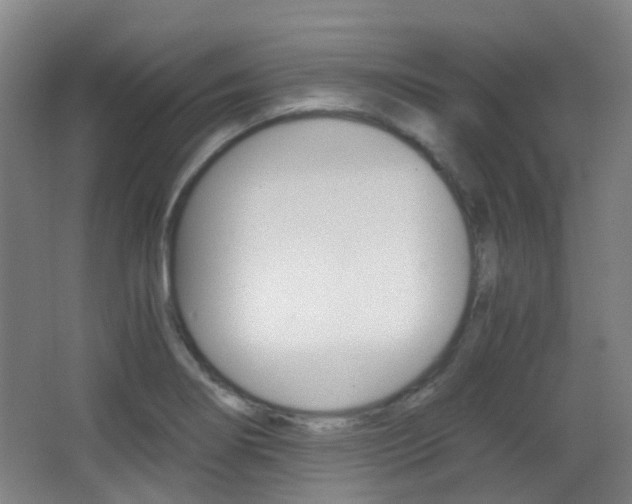 X0000062851274200601130911