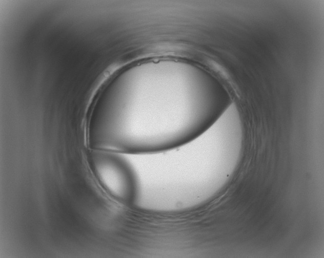X0000062851275200601130911