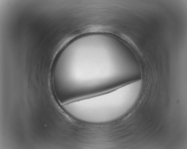 X0000062851277200601130911