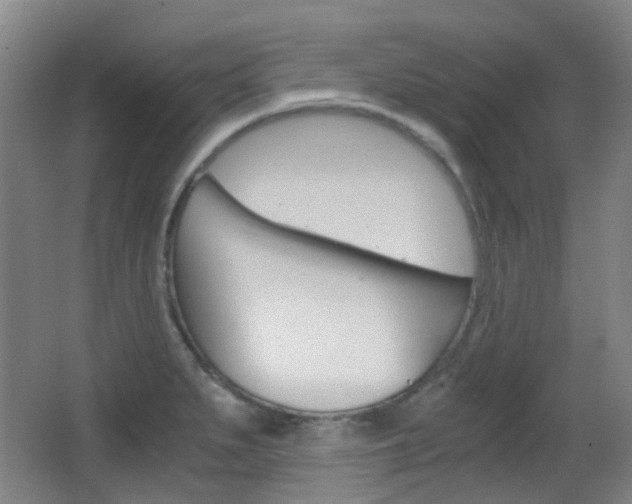 X0000062851279200601130911