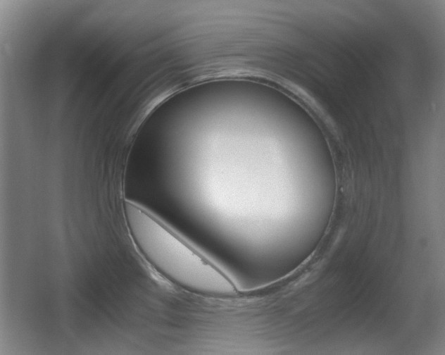 X0000062851289200601130911