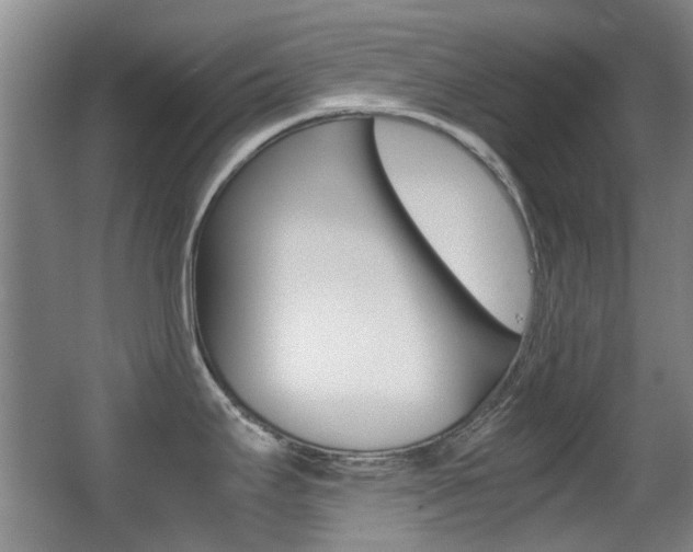 X0000062851295200601130911