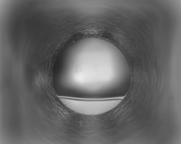 X0000062851297200601130910