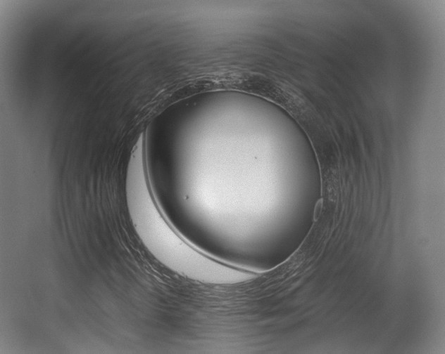 X0000062851298200601130910