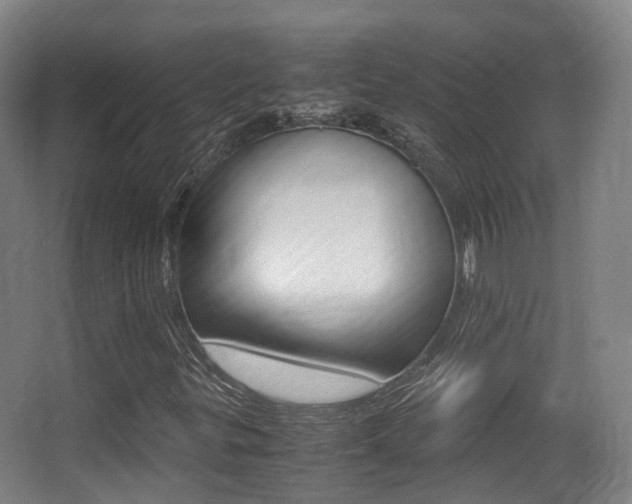 X0000062851299200601130910
