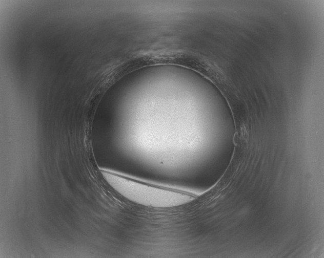X0000062851300200601130910
