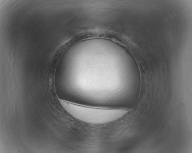 X0000062851302200601130910